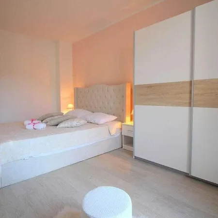 Anamaria Modern And New Holiday *